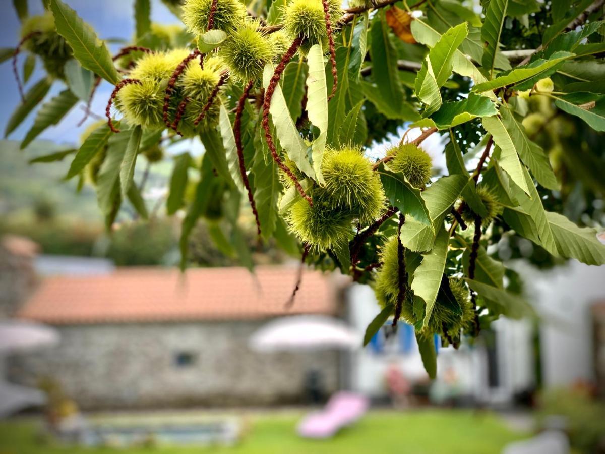Casa Do Priolo - Villaverde Azores Feteiras 外观 照片