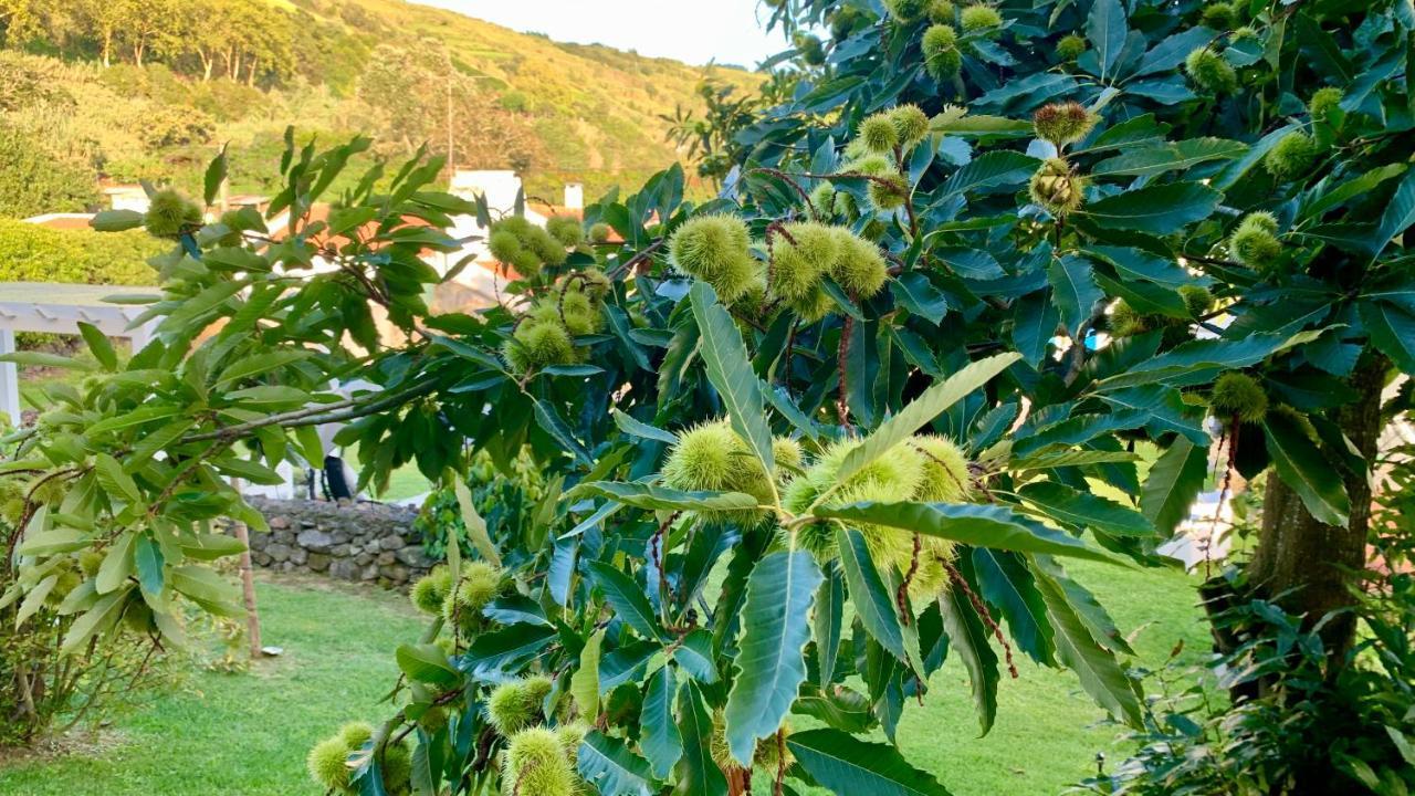 Casa Do Priolo - Villaverde Azores Feteiras 外观 照片